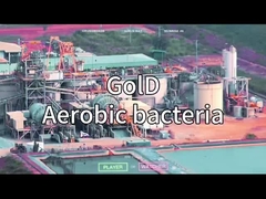 MÁY TẠO OXY VSA VPSA